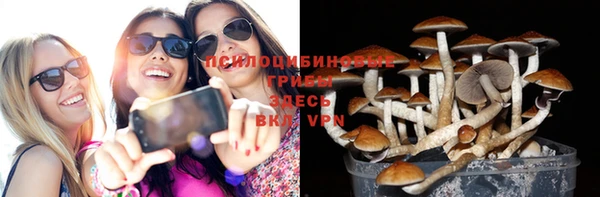 бутират Верея