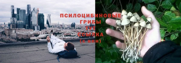 тгк Верхний Тагил